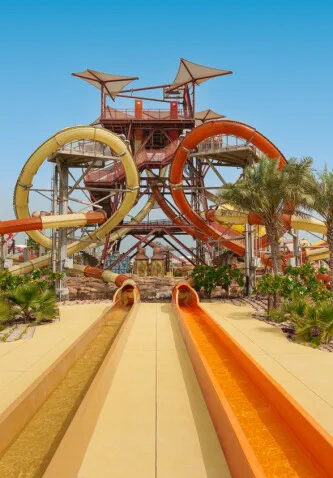 Leap of Fate